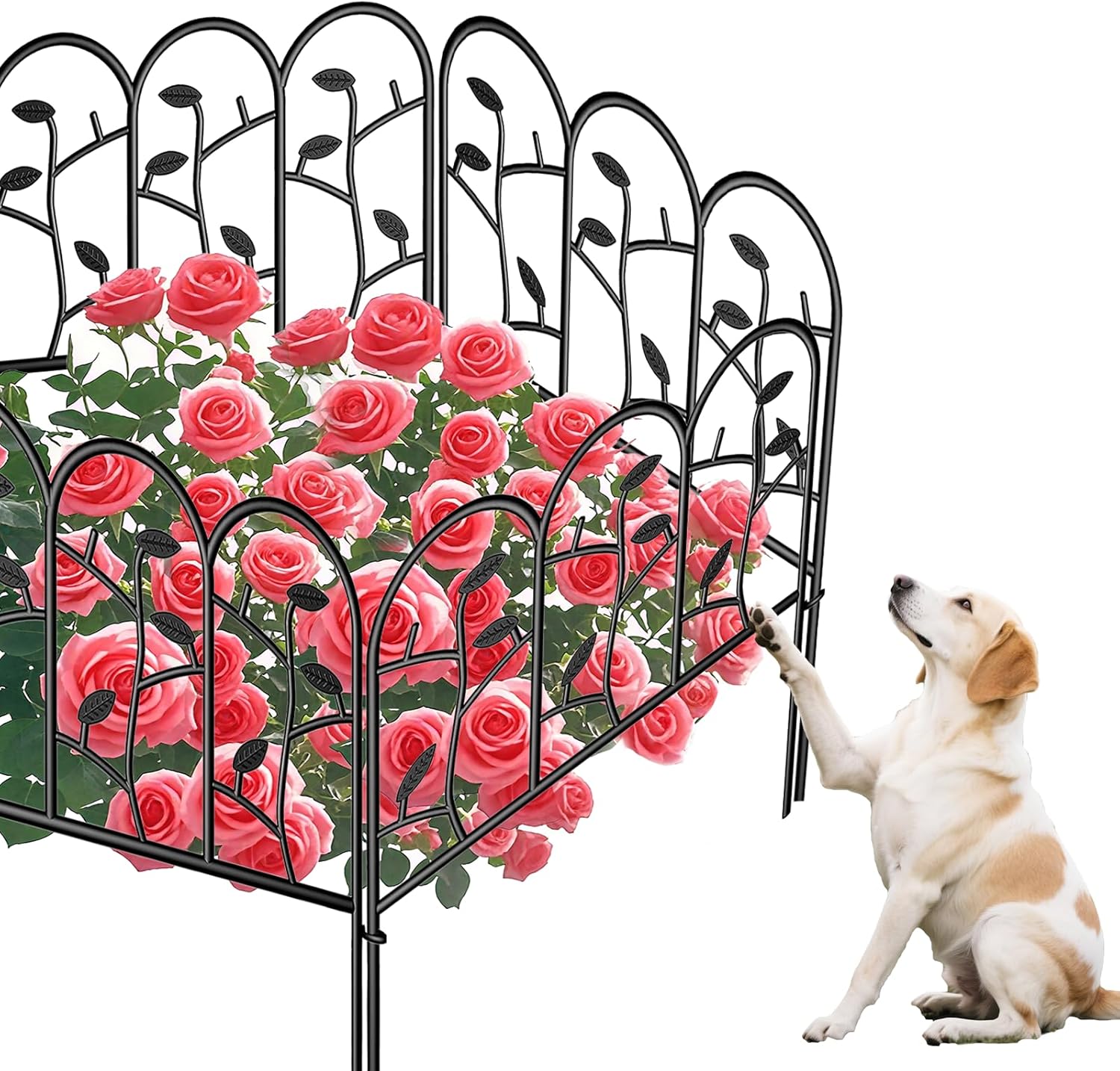 AMAGABELI 18in 6-Panel Decorative Fence