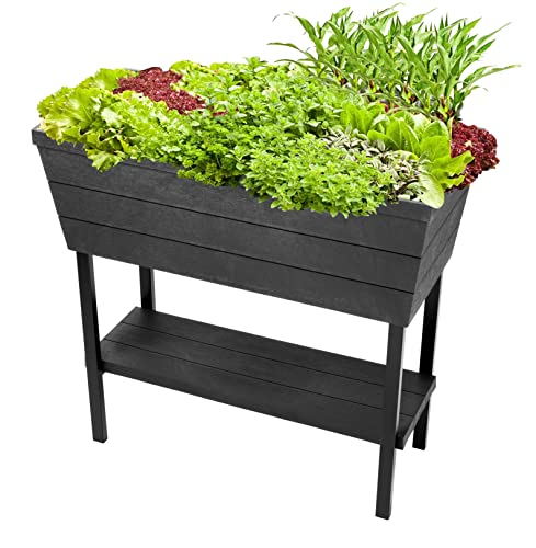 Keter Urban Bloomer Raised Bed