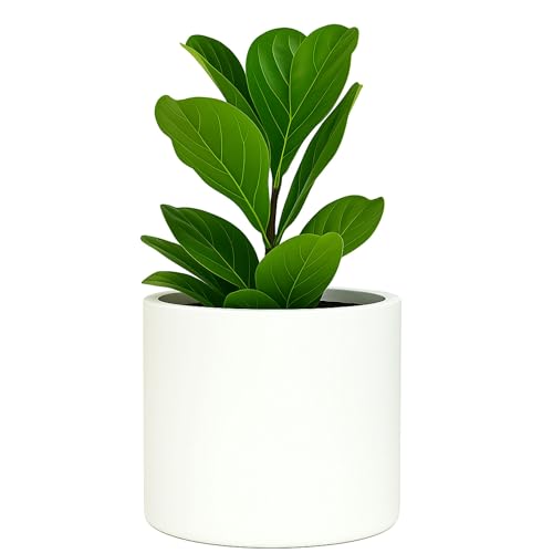 Fox & Fern 8 Inch White Plant Pot