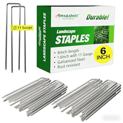AMAGABELI GARDEN & HOME 6 Inch 500 Pack