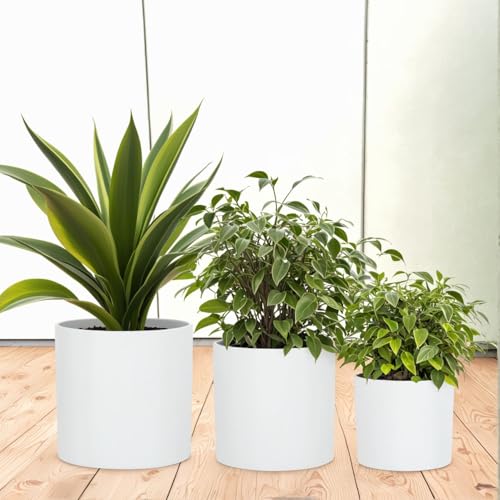 Fox & Fern Matte White Plant Pots with Drainage Plug (Set of 3)  Premium Lightweight Fiberstone 8, 10, and 12 Inch Planters for Indoor and Outdoor Use; Weather Resistant & UV Resistant