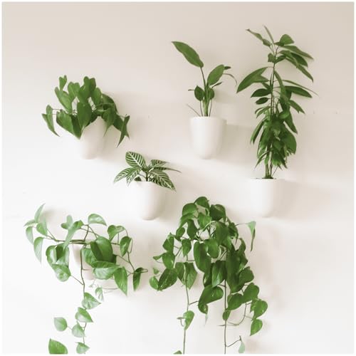 PlantPod Luxe Self-Watering Wall Planters