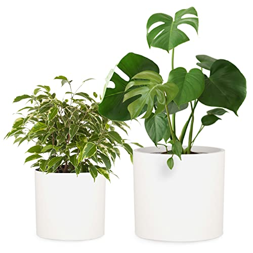 Fox & Fern 12" & 14.6" Large Planters (Set of 2)  Premium Lightweight Fiberstone Matte White Plant Pots with Drainage Plug; Extra Large Planters for Indoor & Outdoor; Weather Resistant & UV Resistant