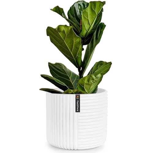 Fox & Fern 8" Polystone Pot