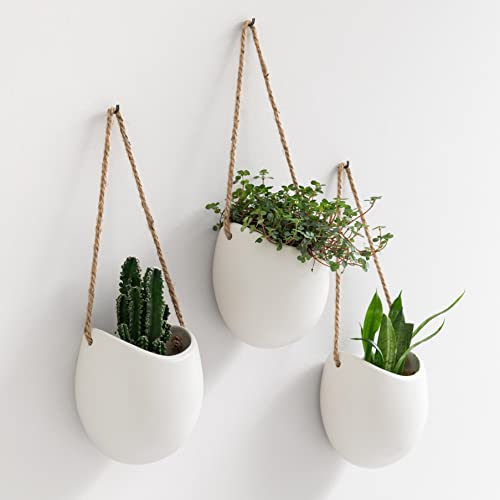 Kazai. Wall Planters -Ellie- (White)