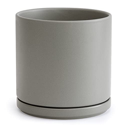 D'vine Dev 10 Inch Grey