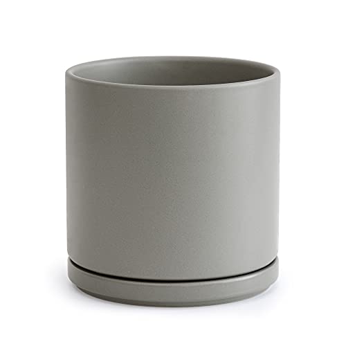 D'vine Dev 8 Inch Ceramic Planter Pot with Drainage Hole and Saucer, Indoor Cylinder Round Planter Pot, Grey, 94-O-D-3
