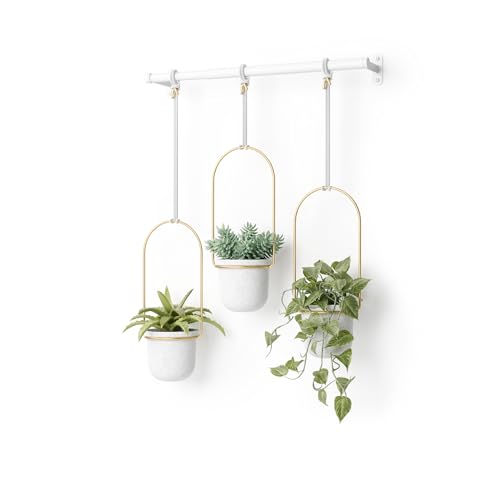 Umbra Triflora Hanging Planter for Window, Set of 3