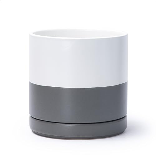 D'vine Dev 8.2 Inch Ceramic Planter Pot with Drainage Hole and Saucer, Indoor Cylinder Round Planter Pot, White/Speckled Grey, 94-O-D-6