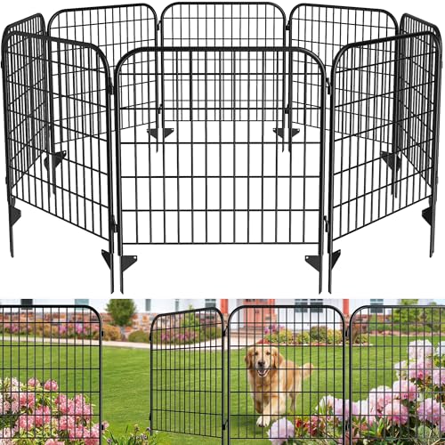 Best Decorative Fencing Panels to Boost Curb Appeal (2026 Guide)
