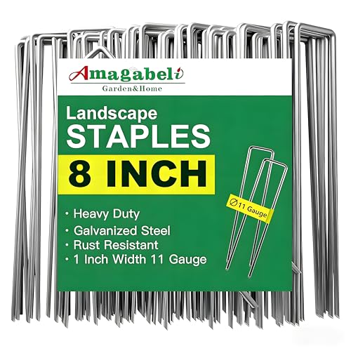 AMAGABELI GARDEN & HOME 8 Inch 300 Pack