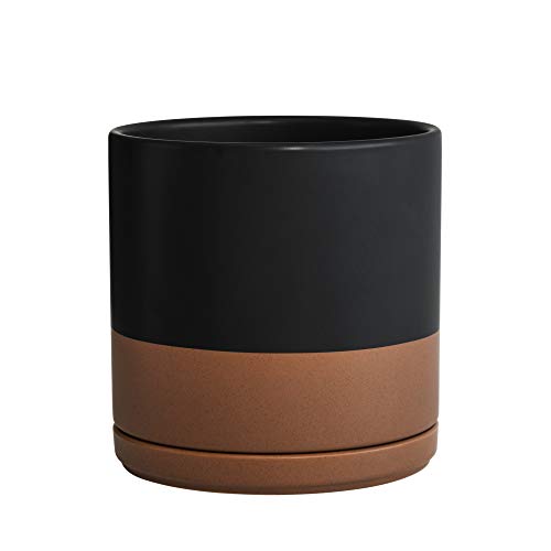 D'vine Dev 8 Inch Black