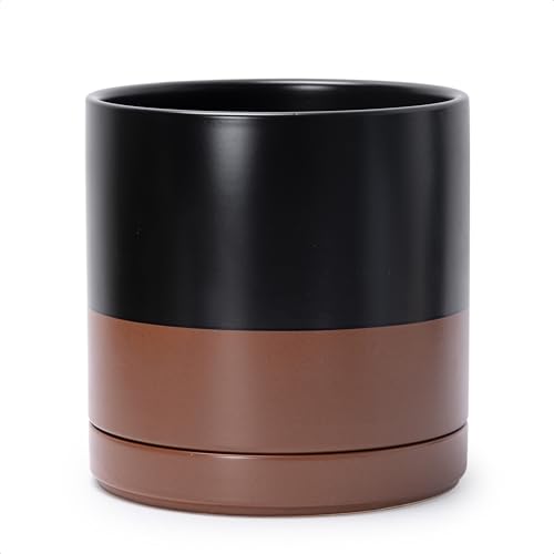 D'vine Dev 10 Inch Ceramic Planter