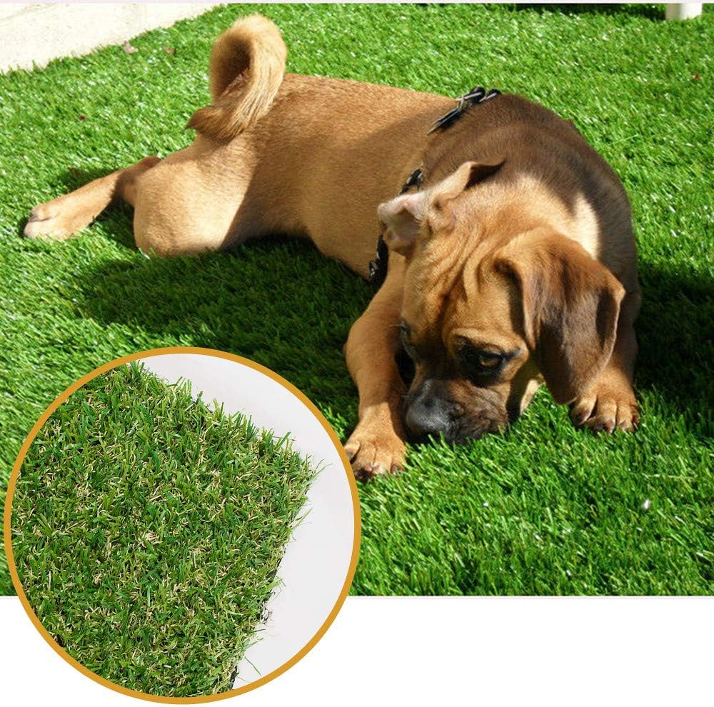 ALTRUISTIC 5ft x 70ft Turf