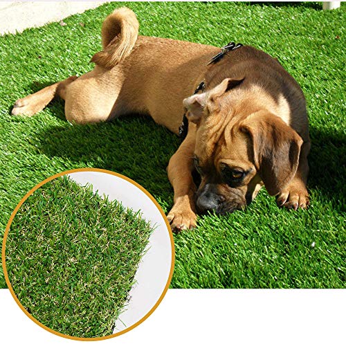 ALTRUISTIC 5ft x 49ft Artificial Grass Mat
