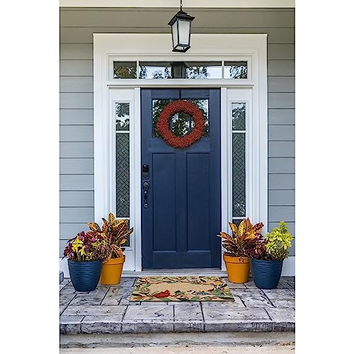 Liora Manne Frontporch Indoor Outdoor Rug
