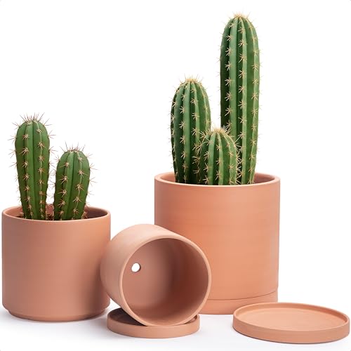 D'vine Dev Terracotta Pots for Plants, 7.8 Inch 9.6 Inch 12 Inch, Round Cylinder Planter Pot with Drainage and Saucer, 40-T-D-0