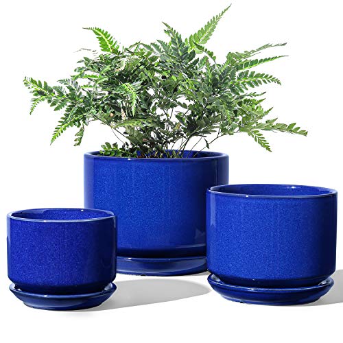 LE TAUCI Ceramic Pot Set (Sapphire)