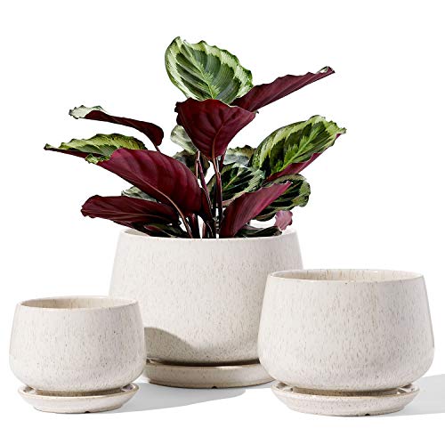 LE TAUCI Ceramic Planter Set