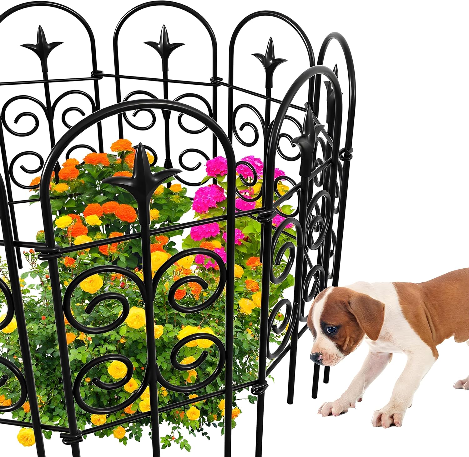 AMAGABELI GARDEN & HOME 8 Panels 24in(H)10ft(L) Decorative Garden Fences and Borders for Dogs Pre-Linking Panels No Dig Garden Edging Border Fence for Animal Barrier Fencing for Flower Bed Yard Patio