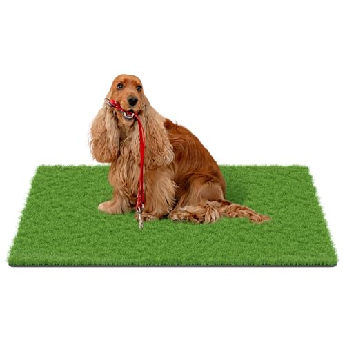 MAYSHINE Fake Grass for Dogs 59"x36"