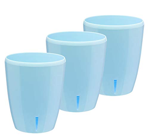 Santino ORCHIDEA 5.9" (Set of 3)