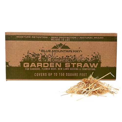 Blue Mountain Hay | Organic Garden Straw (10 lb) | Natural Mulch for Gardening, Flower Beds, Yard Landscaping, New Lawn Grass Seeding, Composting | Covers up to 150 sq ft