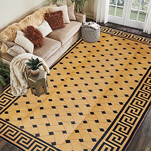 SAND MINE Reversible Mats, Plastic Straw Rug, Modern Area Rug and Rug for Outdoors, RV, Patio, Backyard, Deck, Picnic, Beach, Trailer, Camping (9' x 18', Brown & Black)