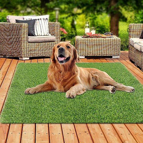 XLX TURF 4' x 4' Fake Grass