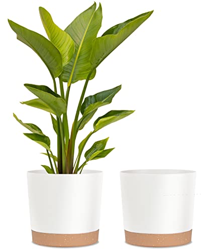 kubvici 12 Inch Plastic Pots (2-Pack)