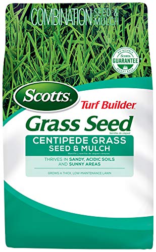 Scotts Turf Builder Centipede Grass Seed