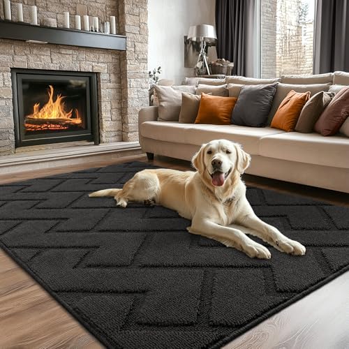 hicorfe Indoor Doormat (Charcoal)