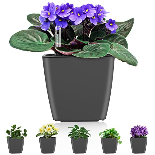 Self Watering Planters for Indoor Plants : 5 inch 6 Pack Grey Planter with Water Level Indicator African Violet Self Watering Flower Pot for Herb Pot House Plant Planting