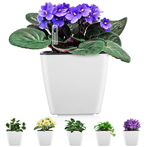 Self Watering Planters for Indoor Plants : 5 inch 6 Pack White Planter with Water Level Indicator African Violet Self Watering Flower Pot for Herb pots