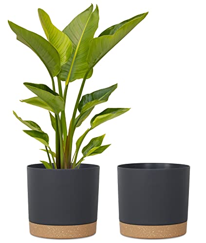kubvici Plant Pots (12")