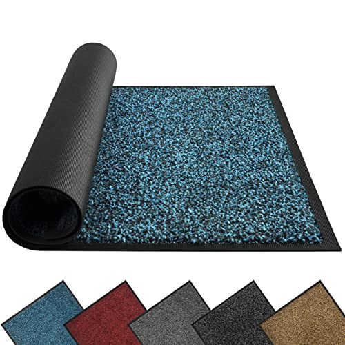 Mibao Front Door Mat, Dirt Trapper Welcome Mat for Outdoor Indoor, Non-Slip Waterproof Doormat, Durable Machine Washable Low Profile Entry Rug for Back Door Outside Patio Porch, 48" x 36", Blue