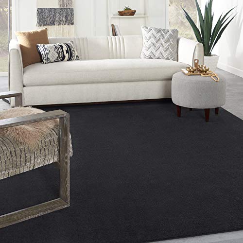 Nourison Home Essentials Indoor/Outdoor Black 8' x 11' Area Rug, Easy Cleaning, Non Shedding, Bed Room, Living Room, Dining Room, Backyard, Deck, Patio (8x11)