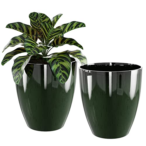 QCQHDU 10 inch Plant Pot (2-Pack)