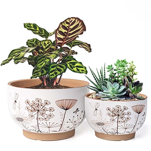 YBX 8 Inch + 6 Inch Ceramic Plant Pots