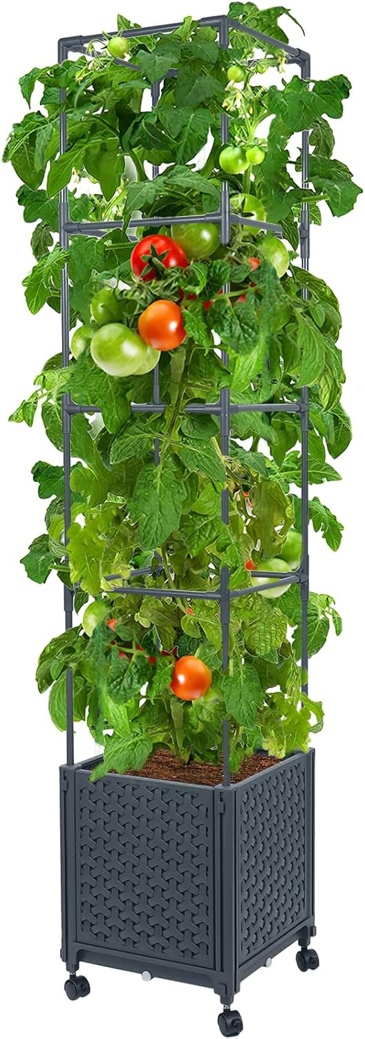 Best Self-Watering Planters for Patios (2026 Guide)