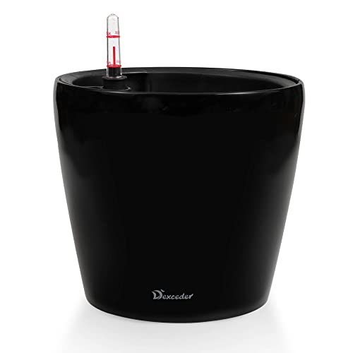 Dexceder 9x8 High Gloss (Black)