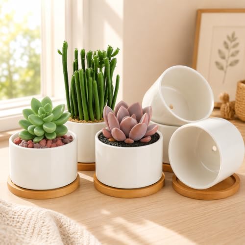ZOUTOG 4" Ceramic Succulent Pots (6-pack)
