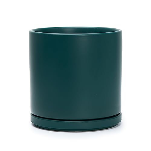 D'vine Dev 8" Ceramic Planter