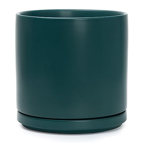 D'vine Dev 10 Inch Teal