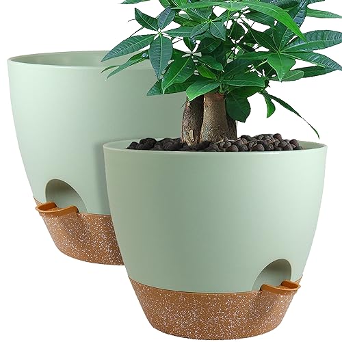 12inch 2Pack Large Self Watering Planters, Plastic Plant Pots with 60oZ Removable Deep Reservoir and Multi Mesh Drainage Holes for Indoor Outdoor Garden Plants and Flowers, Green with Brown