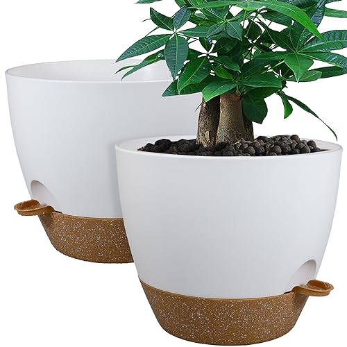 12" 60oz Self Watering Planters (2-Pack)