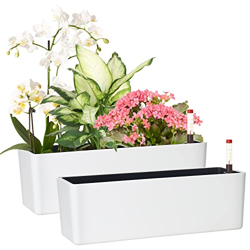 GardenBasix Elongated 2-Pack