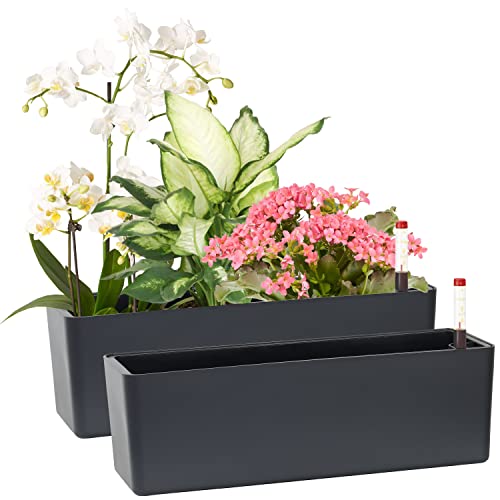 GardenBasix Elongated Window Box 2-Pack