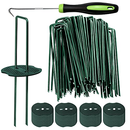 Bakulyor 200pc Turf Stakes