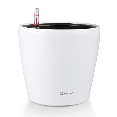 Dexceder 11x10 High Gloss (White)